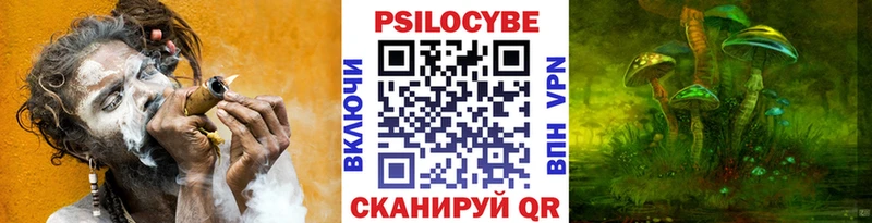 Псилоцибиновые грибы Cubensis  mega онион  Карталы 